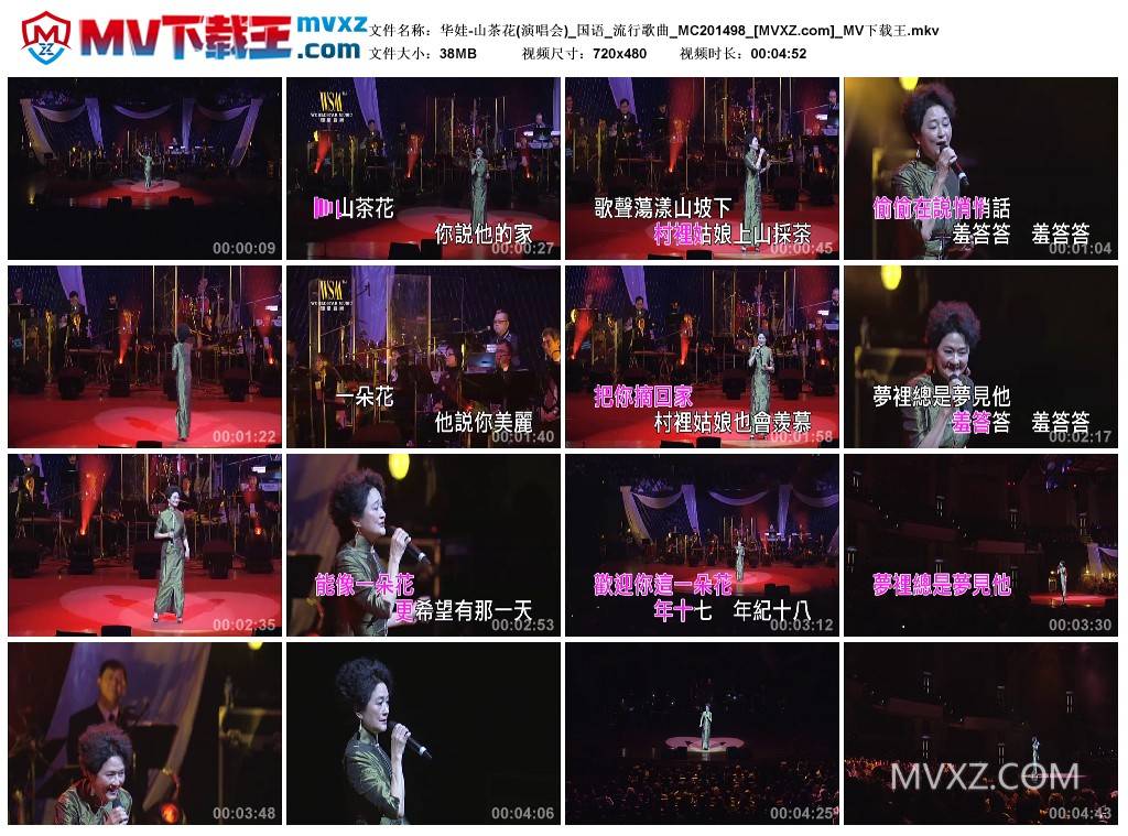 华娃-山茶花(演唱会)_国语_流行歌曲_MC201498